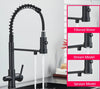 Black Filtered Kitchen Water Filter Kitchen Dual Spout Filter Faucet