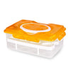 24 Grid Egg Storage Box