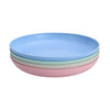 4pcs Dinner Plates Biodegradable Plates Fruit Dish Snack Plate