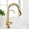 Kitchen Faucet 2 in 1 Antique Brass Pull Out Nozzle Kitchen Tap