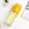 Double-Layer Glass Water Bottles Tea Infuser Bottle Tea Separation Mug