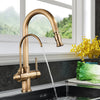 Kitchen Faucet 2 in 1 Antique Brass Pull Out Nozzle Kitchen Tap