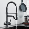 Kitchen Filtered Faucet Water Tap Purifier Faucet Dual Sprayer Tap