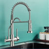 Kitchen Filtered Faucet Water Tap Purifier Faucet Dual Sprayer Tap