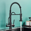 Kitchen Filtered Faucet Water Tap Purifier Faucet Dual Sprayer Tap