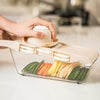 Mandoline Vegetable Slicer With Stainless Steel Blades