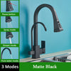 Pull Out Sprayer Sink Faucet Two Spout Double Handle Kitchen Tap