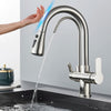 Smart Sensor Pure Water Kitchen Faucet 2 Model Spout Taps Deck Mount