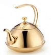 Stainless Steel Coffee Kettle Kitchen Gas Tea Kettle Classy Kettle