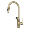 Dual-Spout Water Filter Kitchen Faucet Brass Pull-Out Sink Mixer Tap