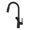 Dual-Spout Water Filter Kitchen Faucet Brass Pull-Out Sink Mixer Tap