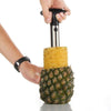 Fruit Pineapple Corer Slicer Peeler Cutter Kitchen Cutter Peeler