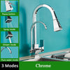 Pull Out Sprayer Sink Faucet Two Spout Double Handle Kitchen Tap