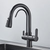 Kitchen Pull Out Spray 360 Rotation Water Filter Three Ways Sink Tap